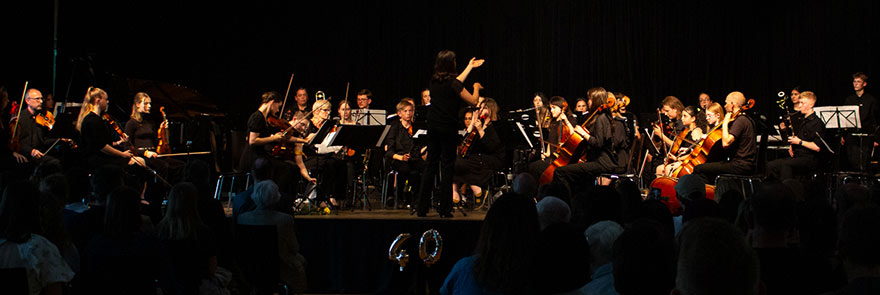 Musik Goethe - Konzert 2024
