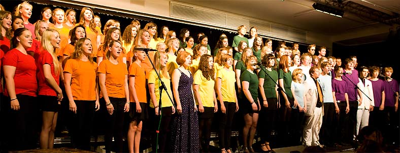 Chor und Orchester des Goethe-Gymnasiums unter Leitung von Astrid Demattia