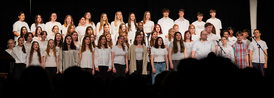 Musik Goethe - Revue 2024