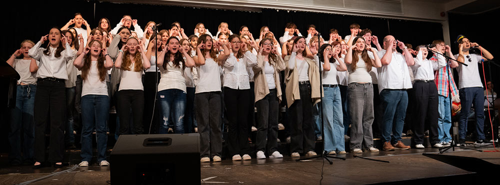 Musik Goethe - Revue 2024