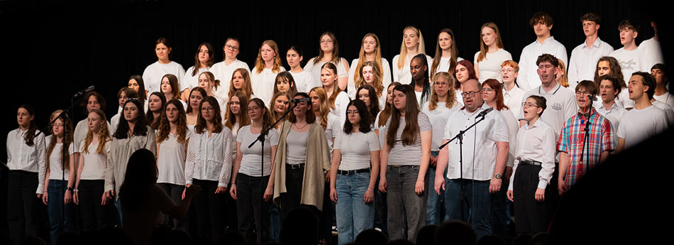 Musik Goethe - Revue 2024